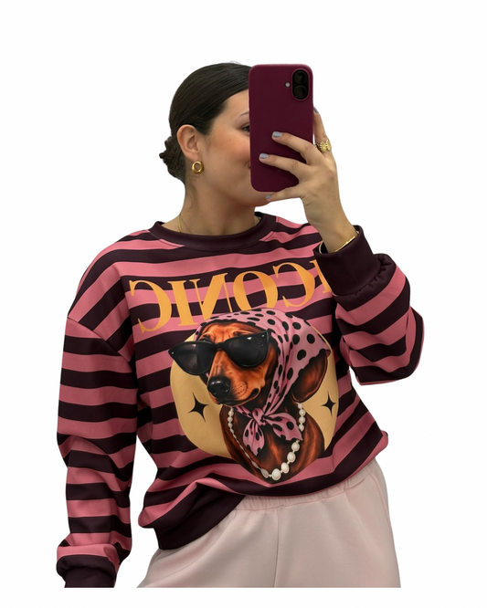 Sudadera ICONIC rosa y berenjena